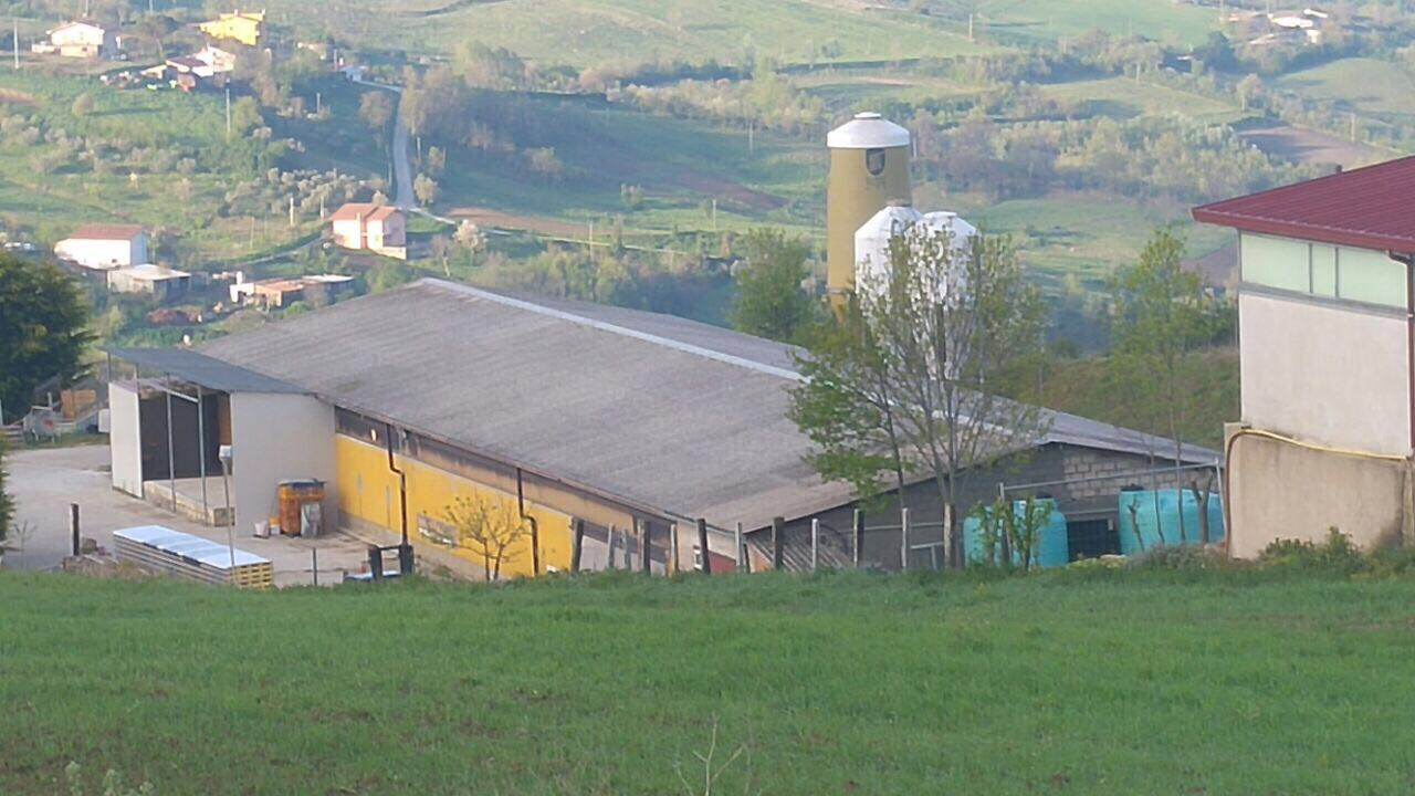 Volpe Stefano Costruzioni — Foto 12